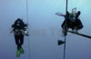 rebreather diver